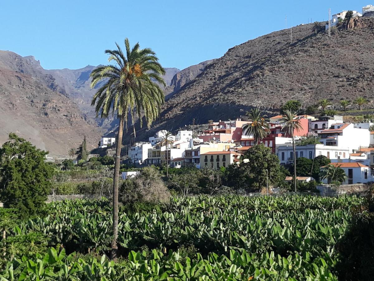 Los Olivos Playa de Santiago (Isla de la Gomera) Exterior foto