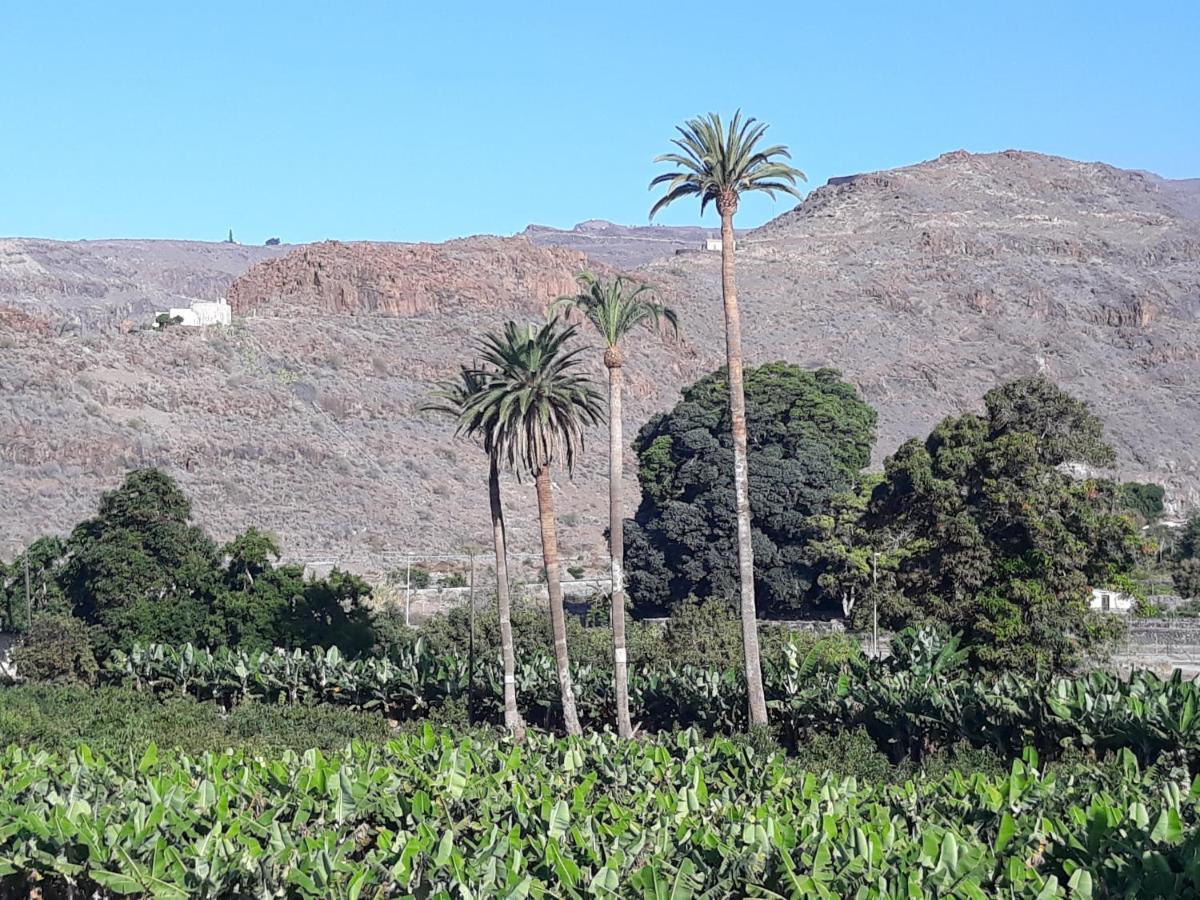 Los Olivos Playa de Santiago (Isla de la Gomera) Exterior foto