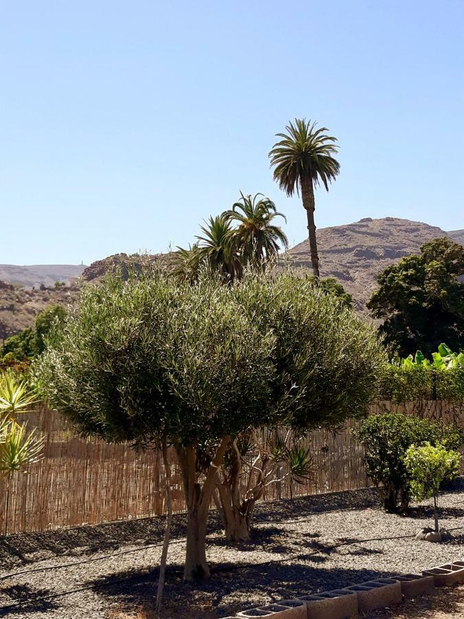 Los Olivos Playa de Santiago (Isla de la Gomera) Exterior foto